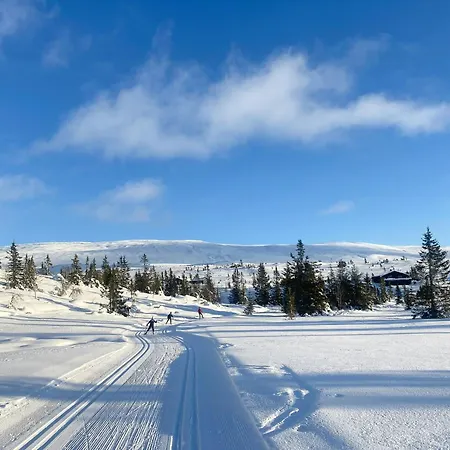 بيت للعطل With Award-winning Design On Norefjell *