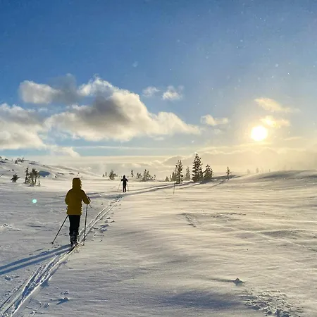 With Award-winning Design On Norefjell * Eggedal